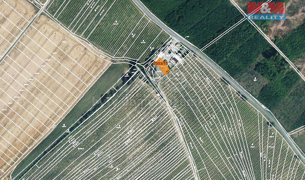 Prodej pole 300 m², Dolní Bojanovice – náhled fotky 3