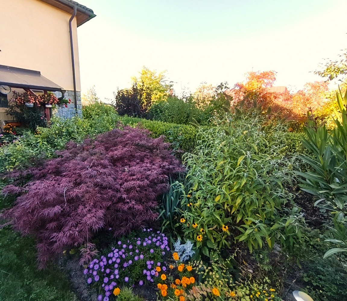 Prodej domu 210 m² s pozemkem 1 635 m² – fotografie 5