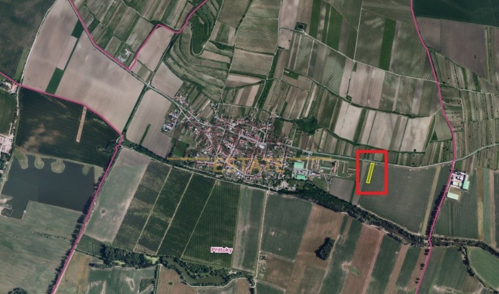 Prodej pole 2 963 m², Přítluky – náhled fotky 2