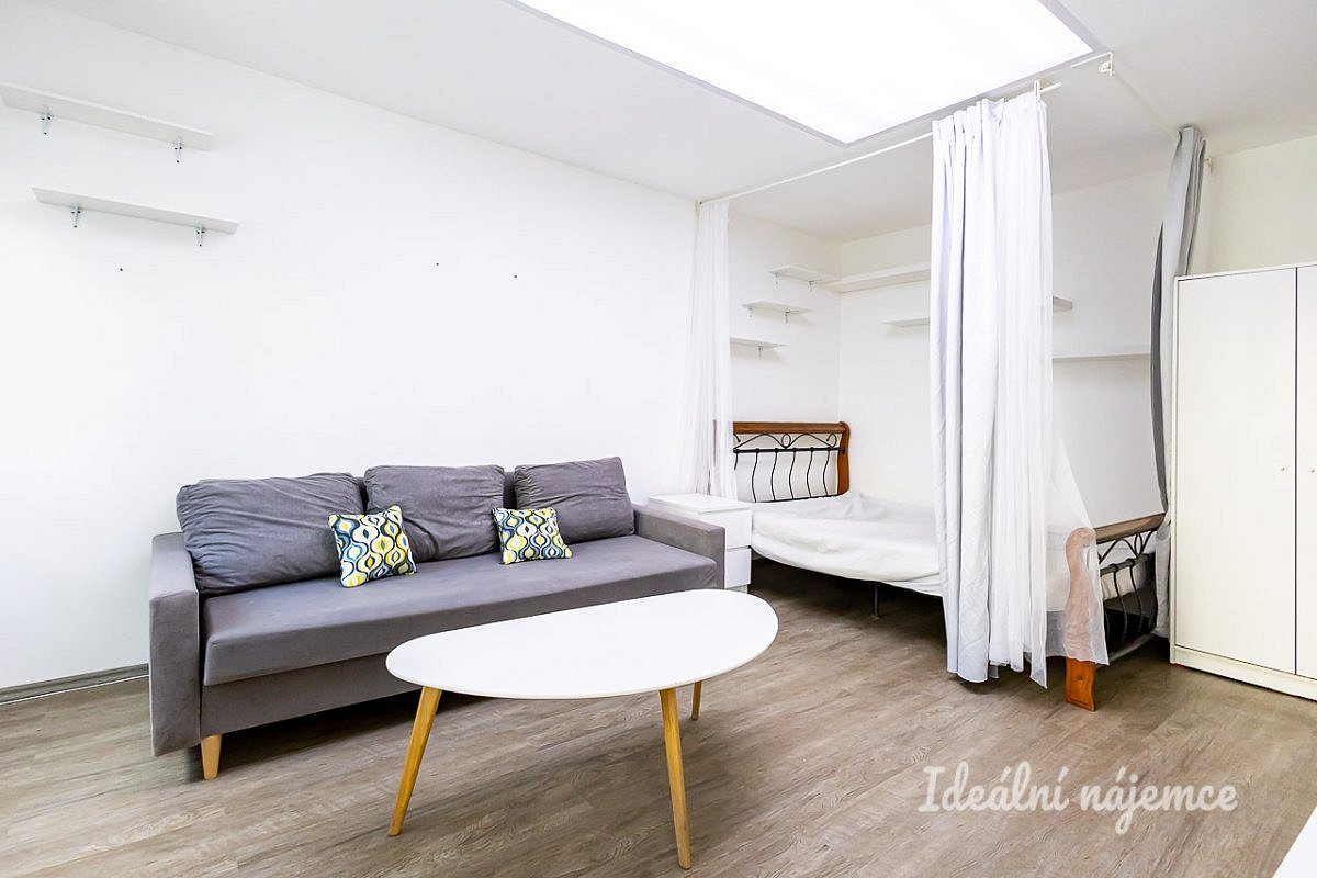 Pronájem bytu 1+1 31 m² – fotografie 3