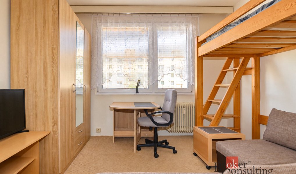 Pronájem bytu 1+kk 20 m², Plzeň – náhled fotky 3