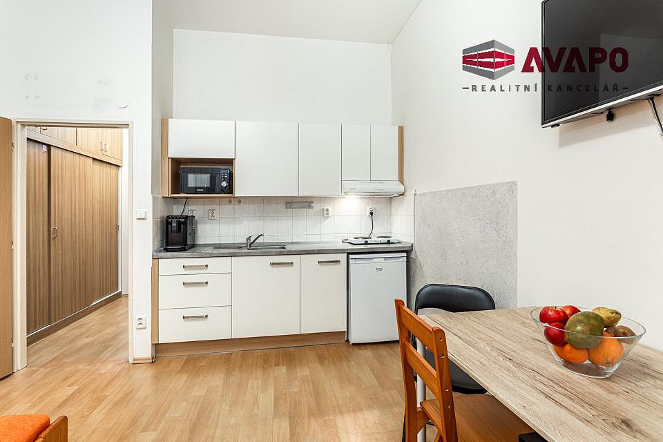 Pronájem bytu 1+kk 25 m² – fotografie 3