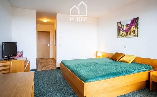 Prodej bytu 1+kk 33 m², Böhmischbruck, Německo