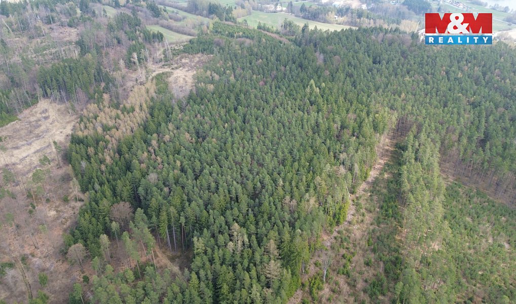 Prodej lesa 7 873 m², Mrákotín – náhled fotky 3