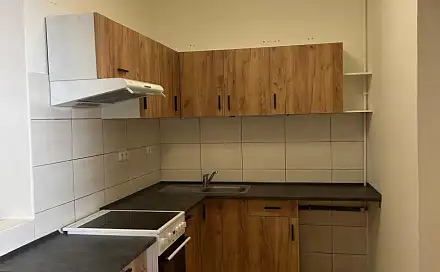 Pronájem bytu 3+kk 54 m², Purkyňova, Plzeň - Jižní Předměstí