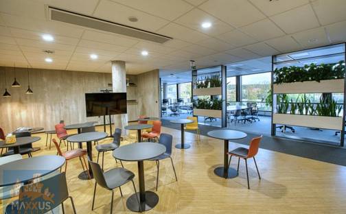 Pronájem kanceláře 653 m², Boudníkova, Praha 8 - Libeň