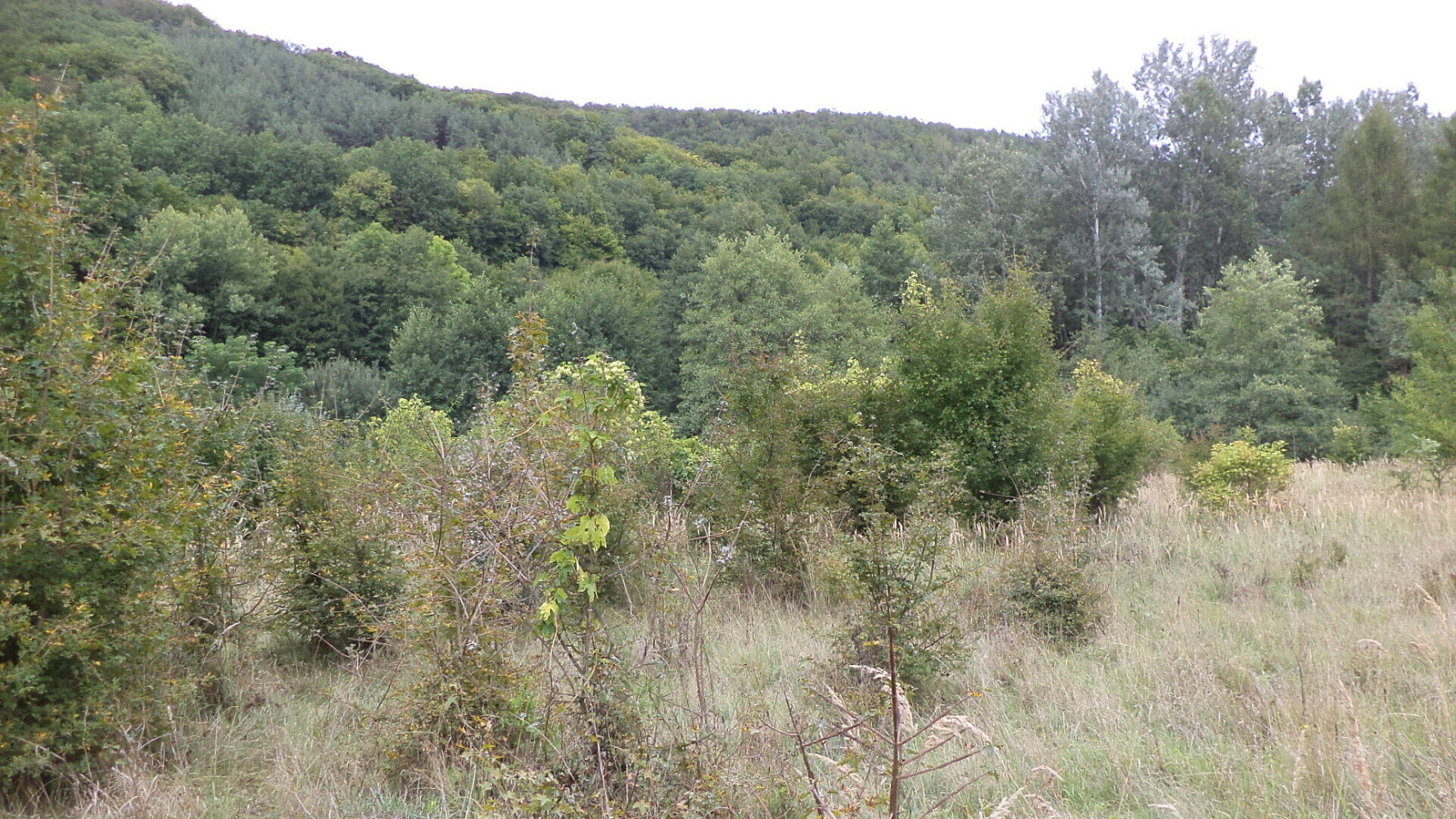 Prodej pole 1 953 m² — photo 3