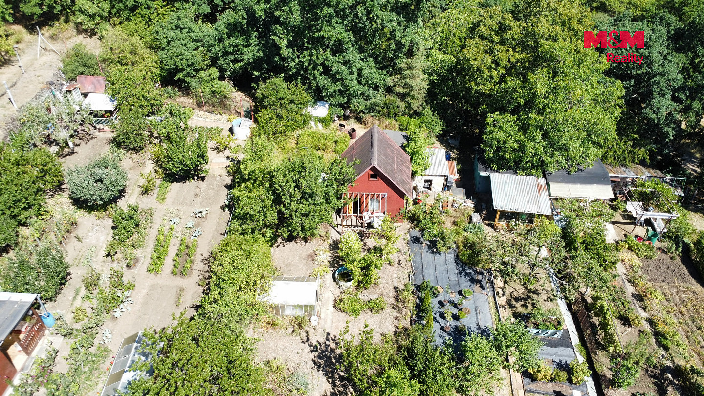 Fotka 9 z 10