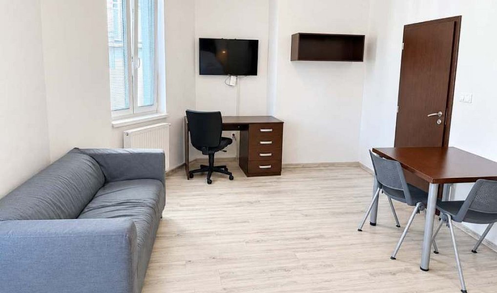 Prodej bytu 1+kk 28 m², Brno – náhled fotky 5