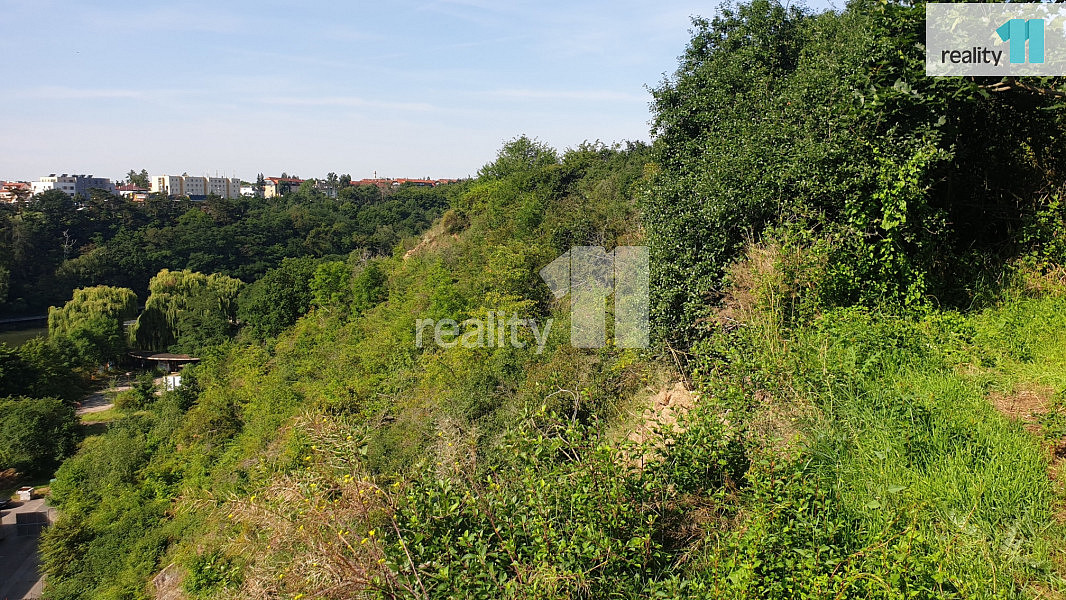 Prodej louky 217 m² — photo 5