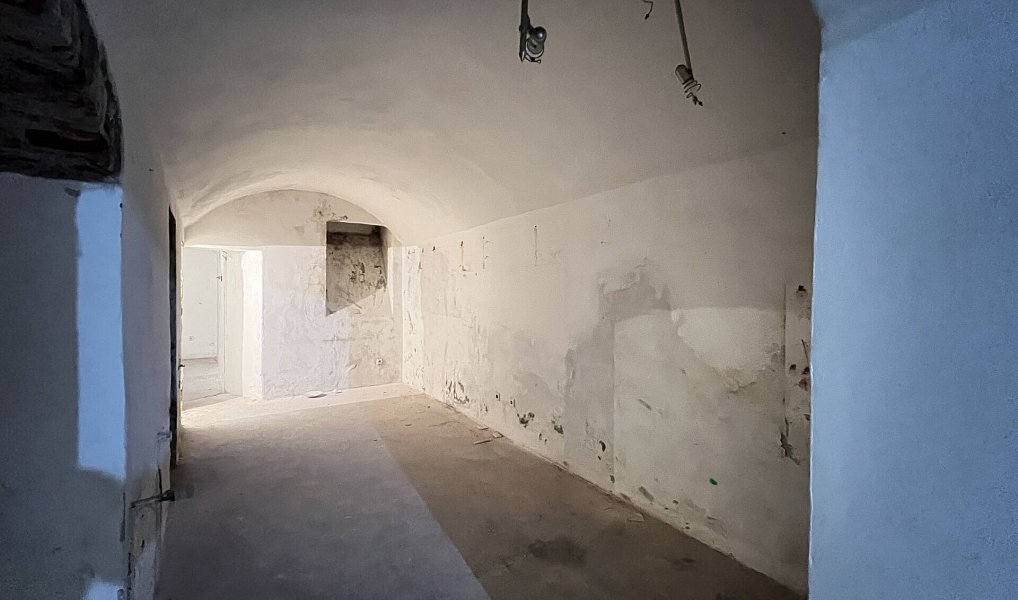 Prodej komerčního objektu (jiného typu) 235 m², Praha – náhled fotky 3