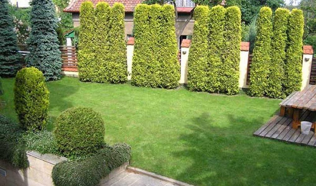 Pronájem komerčního objektu (jiného typu) 50 m², Praha – náhled fotky 7