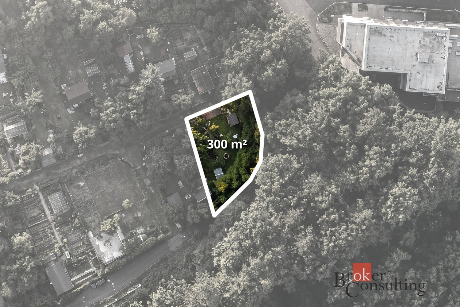 Prodej zahrady 300 m² – fotografie 2