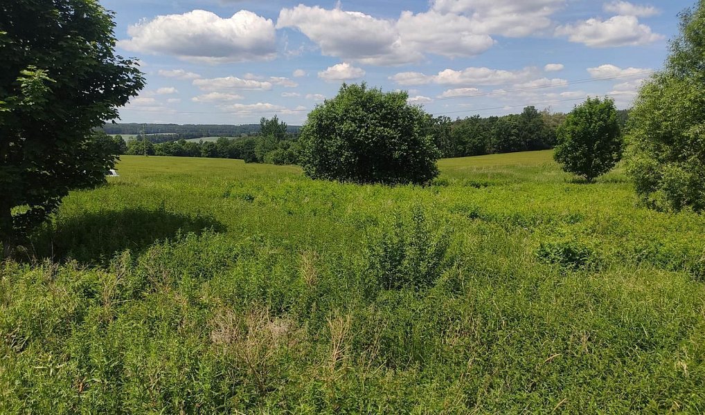 Prodej stavebního pozemku 838 m², Bechyně – náhled fotky 3