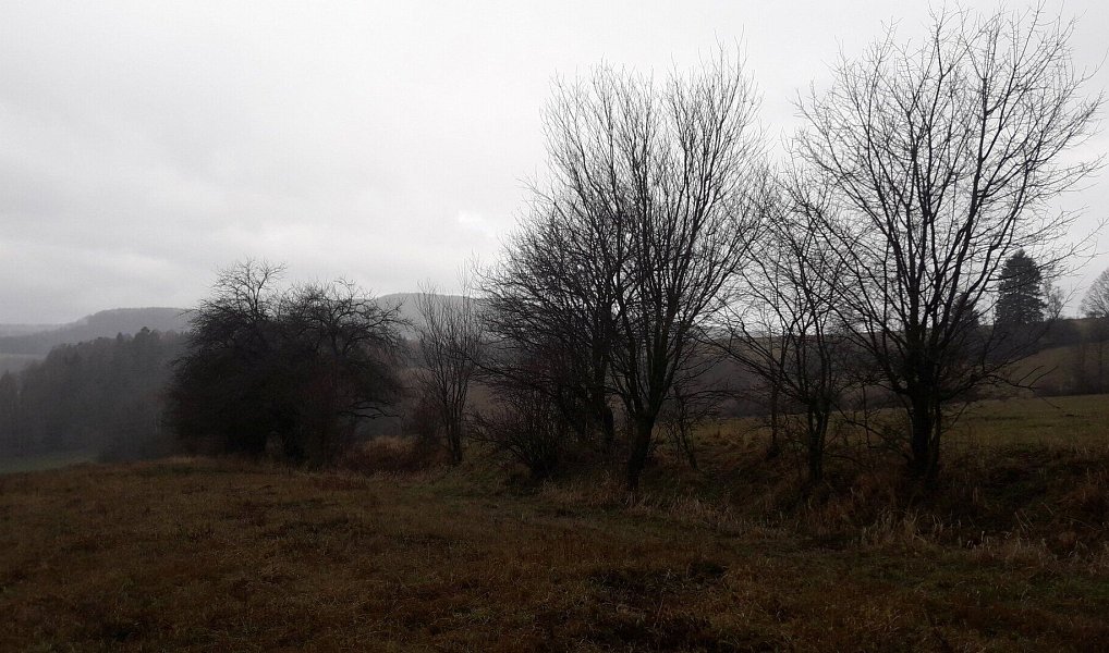 Prodej pole 25 028 m², Teplice nad Metují – náhled fotky 3