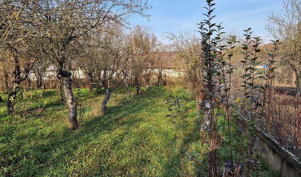 Prodej stavebního pozemku 508 m², Čebín – náhled fotky 4