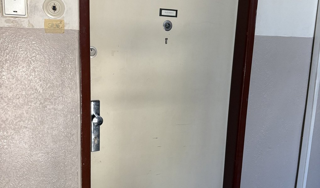 Prodej bytu 2+1 46 m², Praha – náhled fotky 15