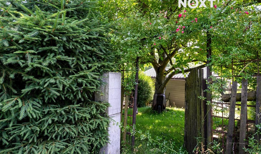 Prodej zahrady 446 m², Jílové – náhled fotky 5