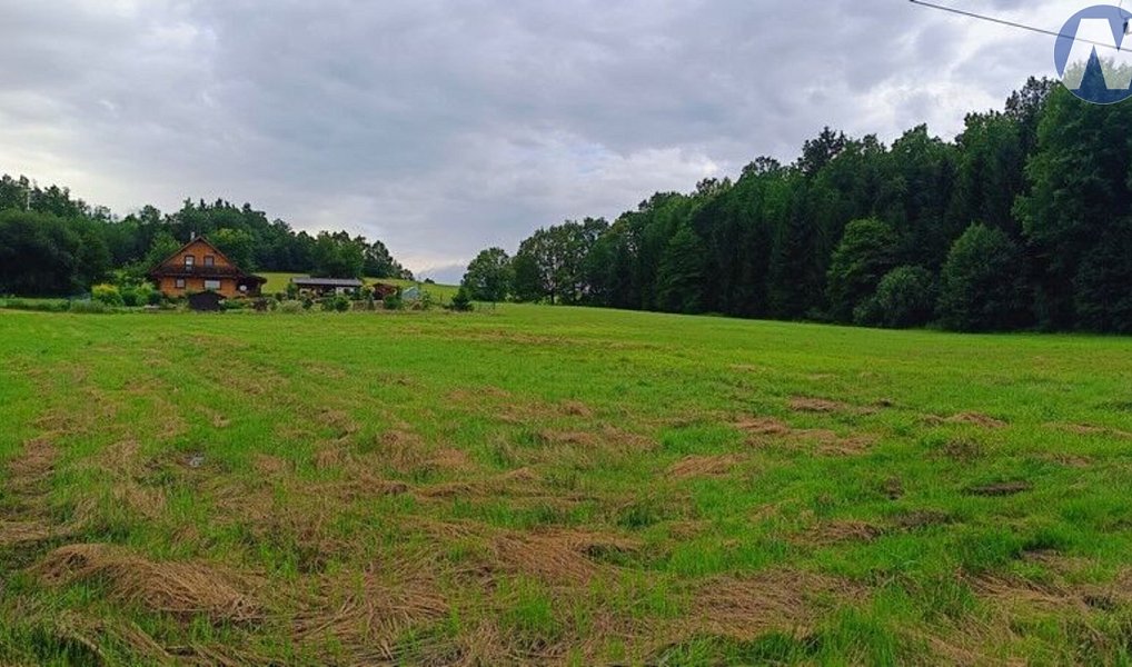 Prodej stavebního pozemku 4 398 m², Hracholusky – náhled fotky 4