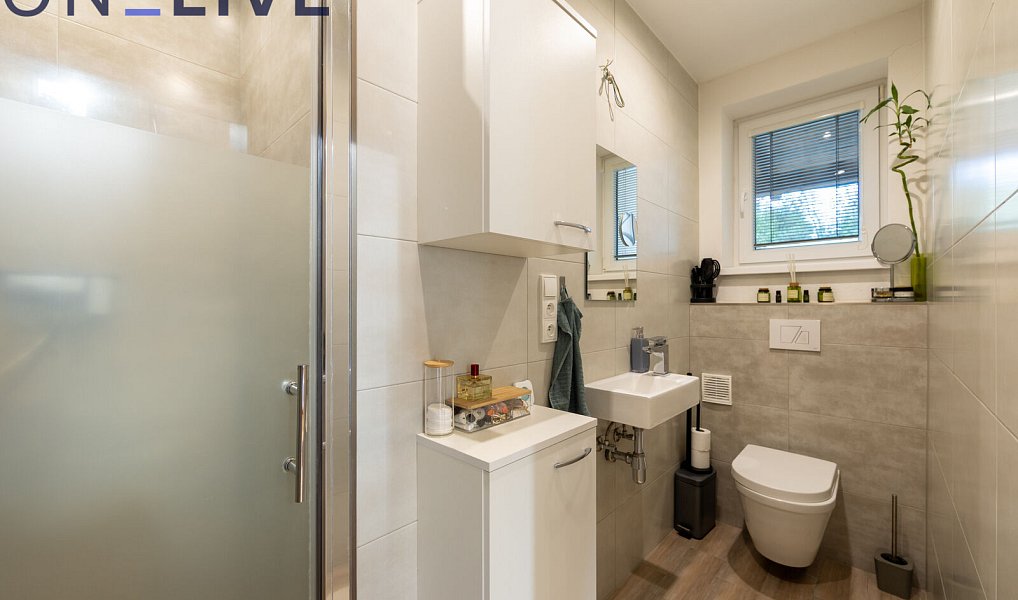 Prodej domu 151 m² s pozemkem 919 m², Dolany – náhled fotky 21