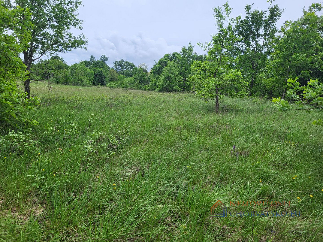 Prodej stavebního pozemku 6 027 m² - Widok 3