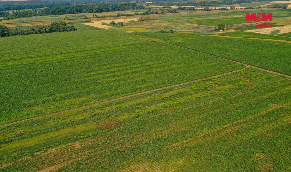 Prodej pole 9 227 m², Podivín – náhled fotky 5