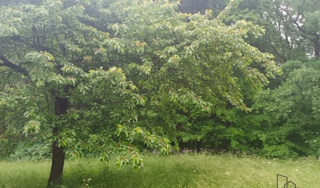 Prodej chaty/chalupy 36 m² s pozemkem 38 m², Velké Chvojno – náhled fotky 14