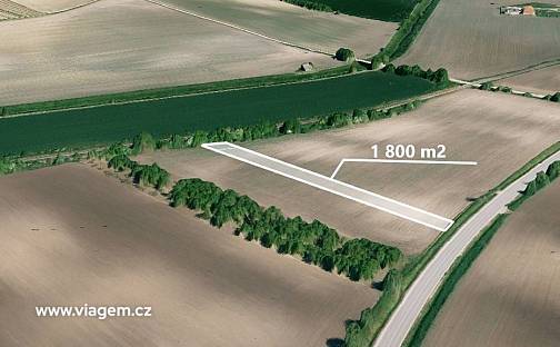 Prodej pole 1 800 m², Kobylí, okres Břeclav