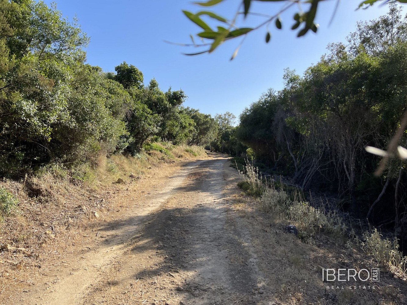 Casa 3+kk – Castellar Nuevo de la Frontera, La Almoraima - Más