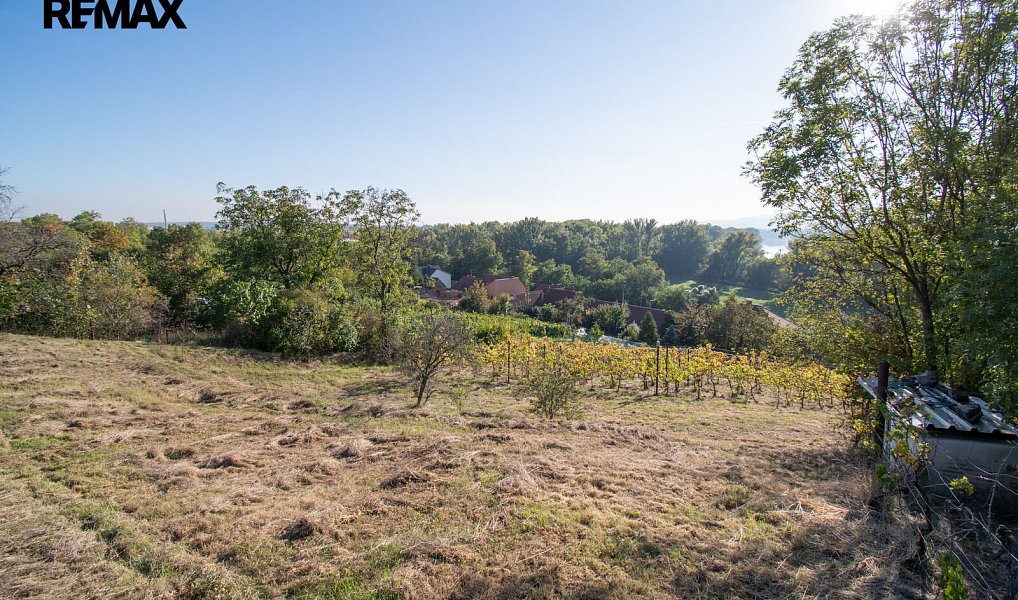 Prodej domu 110 m² s pozemkem 5 026 m², Velké Žernoseky – náhled fotky 7