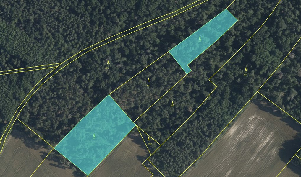 Prodej lesa 7 719 m², Sudovo Hlavno – fotka 1 z 3