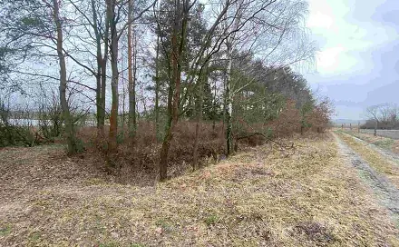 Prodej pozemku 2 121 m², Drahonice - Albrechtice, okres Strakonice