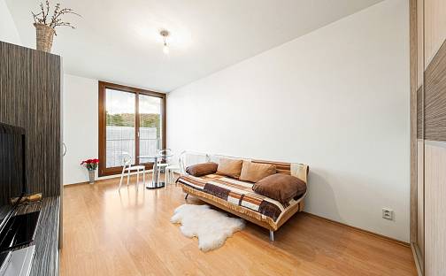 Prodej bytu 1+1 39 m², Na Kněžině, Týnec nad Sázavou - Brodce, okres Benešov