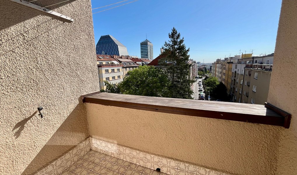 Pronájem bytu 5+kk 150 m², Praha – náhled fotky 11