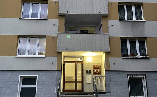 Prodej bytu 3+1 83 m², Švabinského, Sokolov