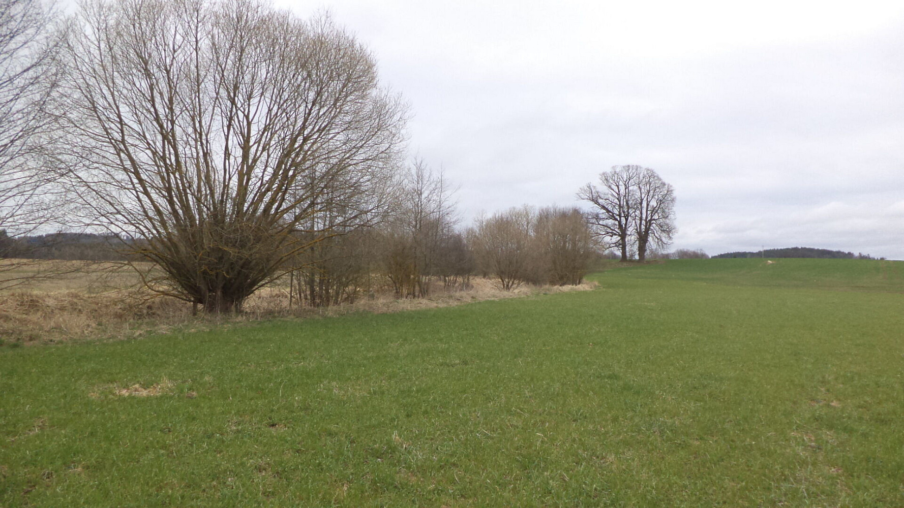 Prodej pole 11 340 m²