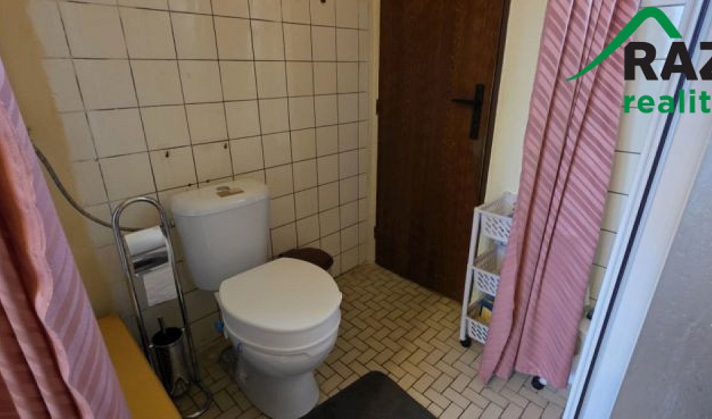 Prodej bytu 2+1 60 m², Planá – náhled fotky 9