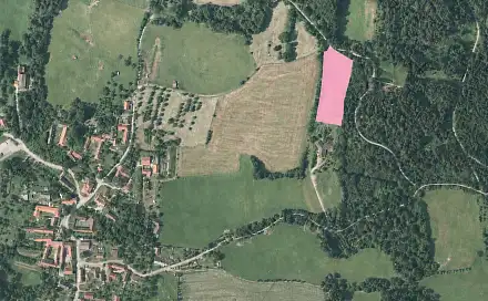 Prodej louky 5 943 m², Mičovice, okres Prachatice