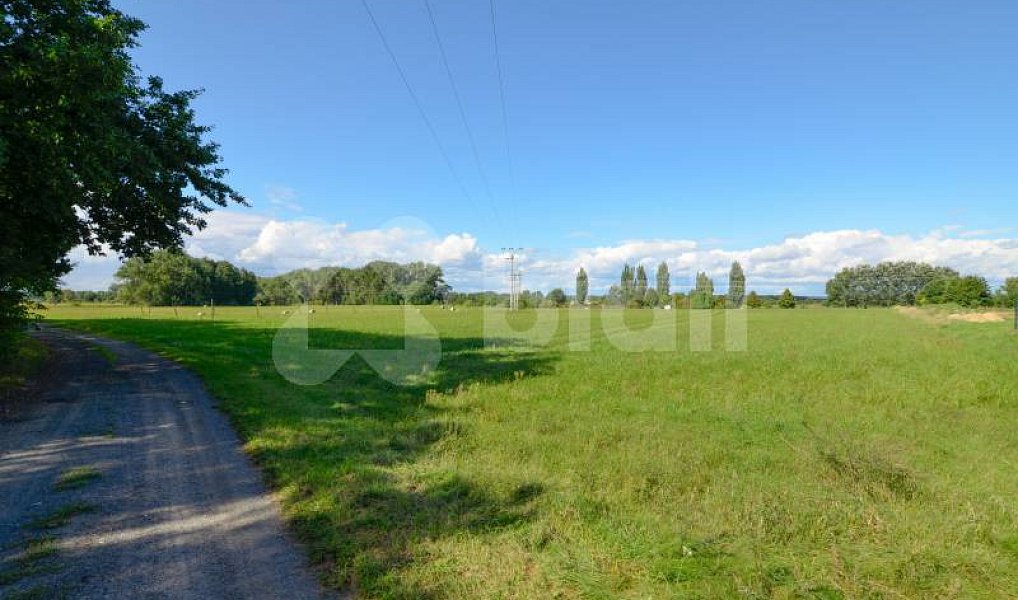 Prodej stavebního pozemku 1 435 m², Záryby – náhled fotky 5