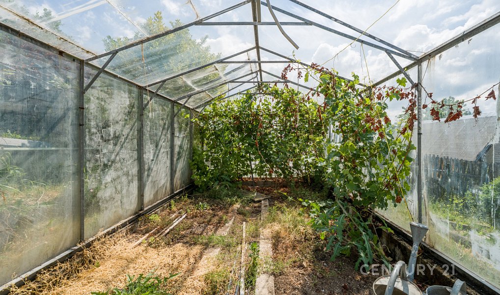 Prodej zahrady 634 m², Meziboří – náhled fotky 17