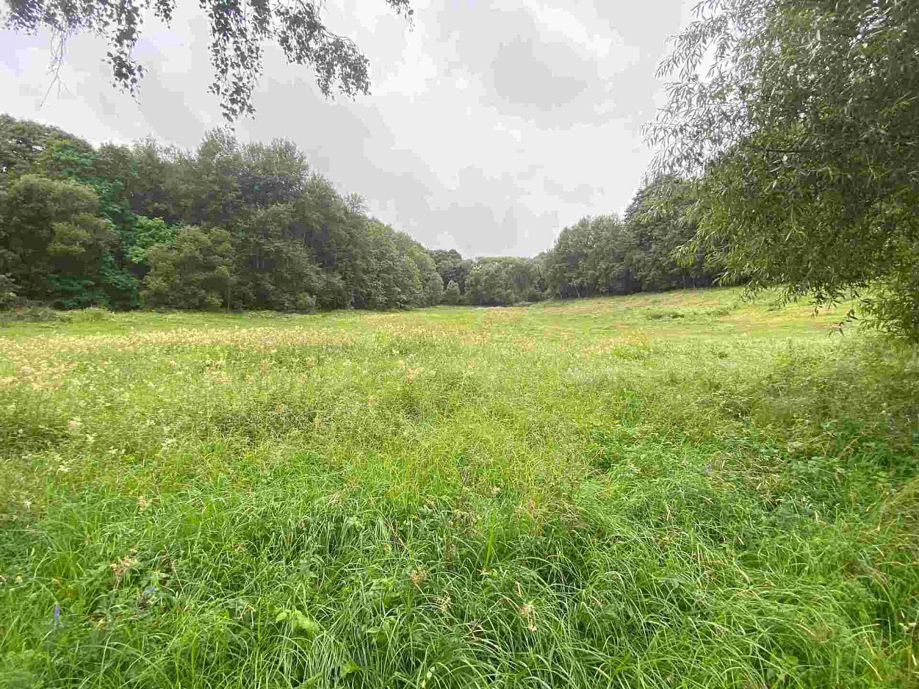 Prodej pozemku 1 500 m²