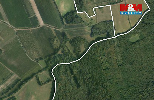 Prodej pole 4 000 m² — photo 3