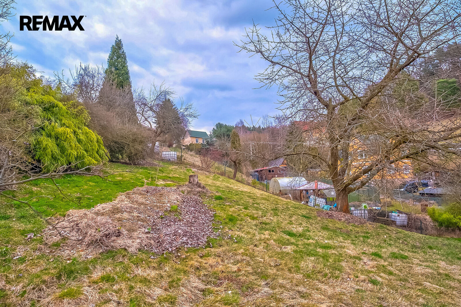 Fotka 6 z 11