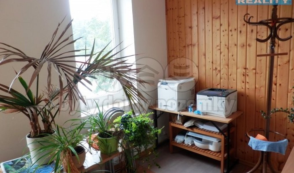Prodej obchodních prostor 1 146 m², Kraslice – náhled fotky 13