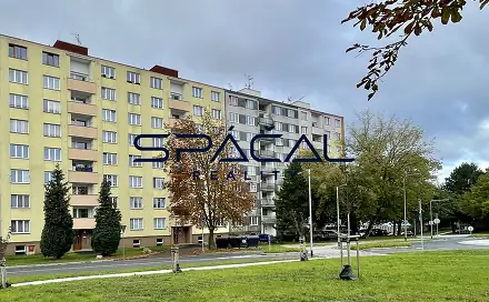 Pronájem bytu 1+1 35 m², Švabinského, Sokolov
