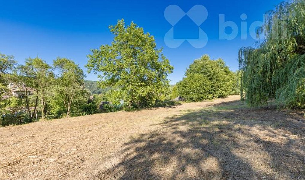 Prodej stavebního pozemku 8 271 m², Hradištko – náhled fotky 14