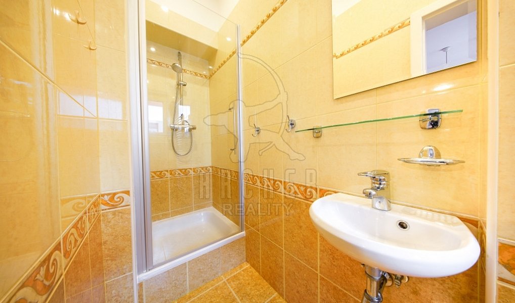 Prodej domu 324 m² s pozemkem 399 m², Praha – náhled fotky 11