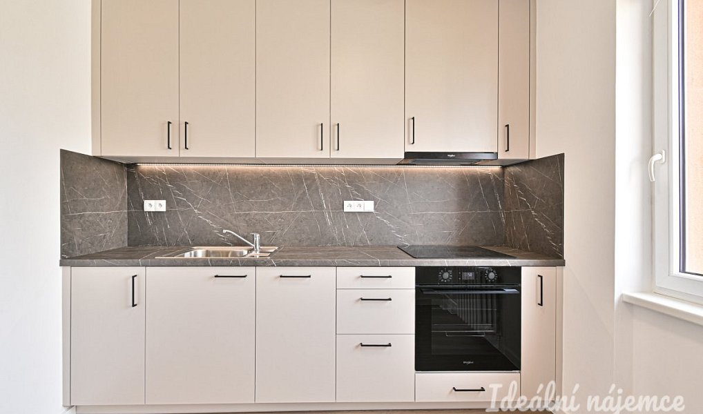Pronájem bytu 1+1 38 m², Praha – náhled fotky 5
