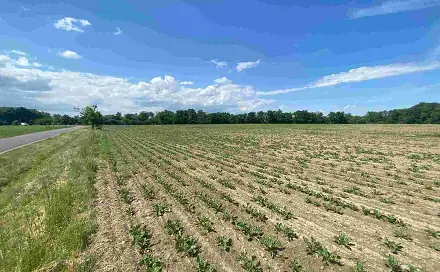 Prodej pozemku 1 696 m², Dolní Životice, okres Opava
