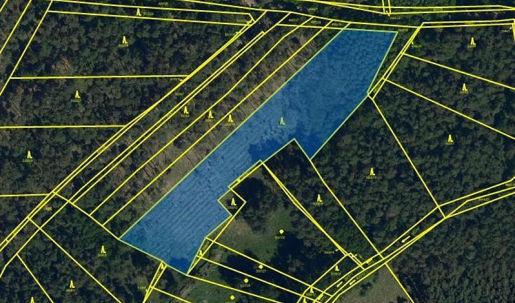 Prodej lesa 8 713 m², Vracov – náhled fotky 12